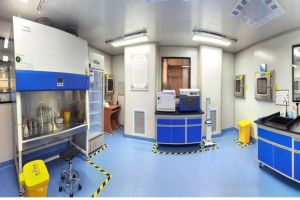 Modern Laboratory